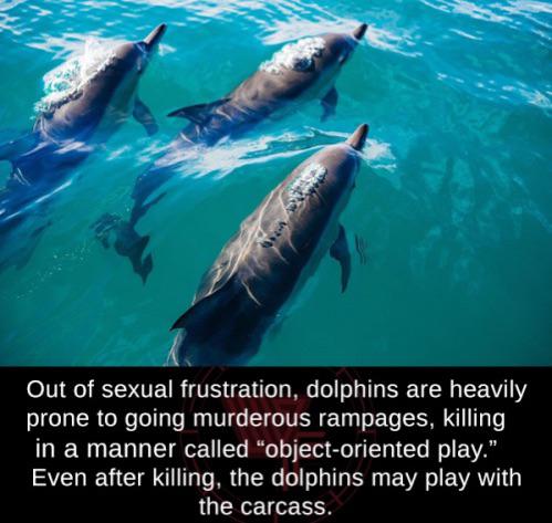 Murderous Boners - USLUCK