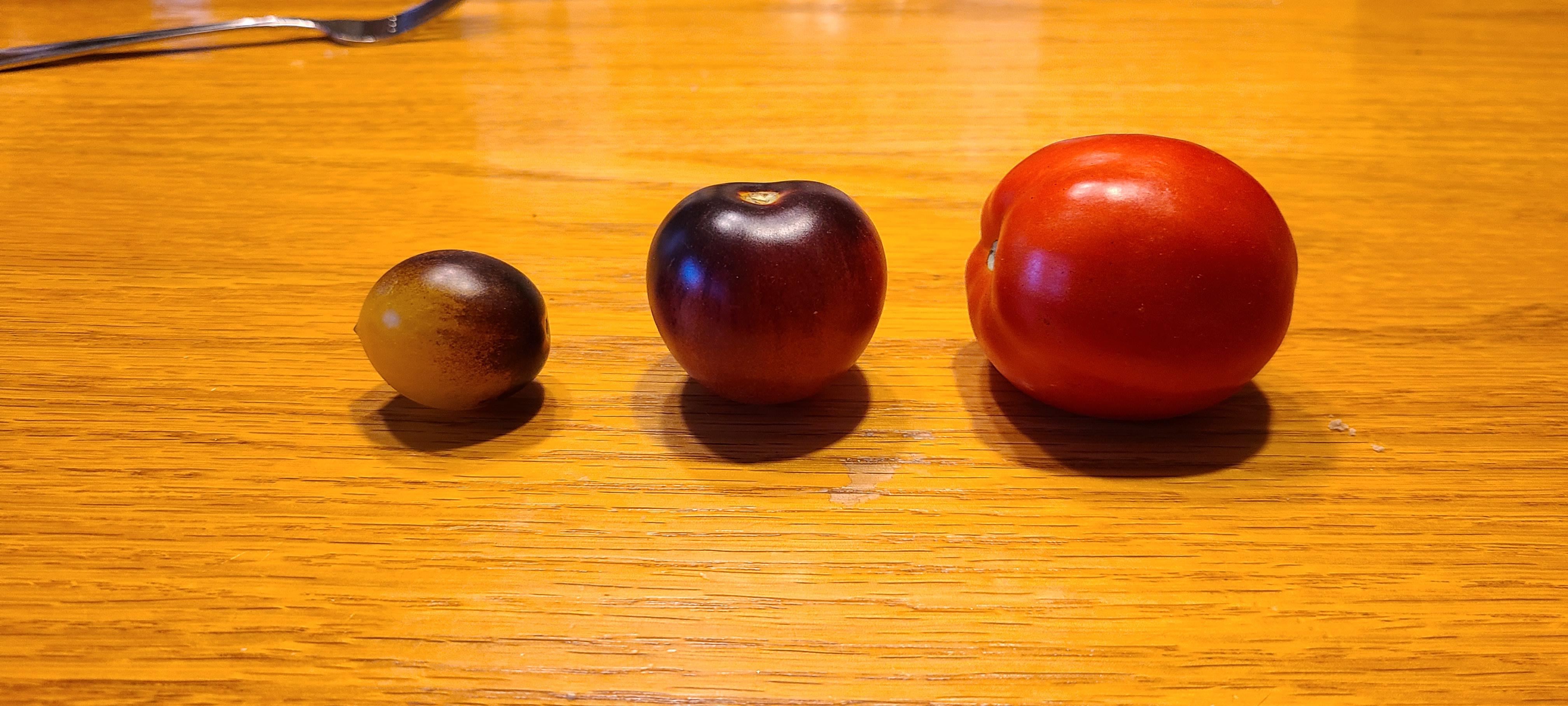 My mother planted gold/purple cherry tomatoes (left) and red Roma