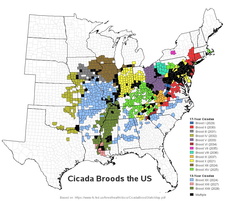 [OC] US Cicada broods map (and animated map) USLUCK